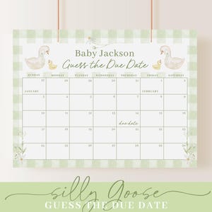 K&ouml;nnte beinhalten: Ein gr&uuml;ner und wei&szlig;er Gingham-Kalender mit einem Babyparty-Thema. Der Kalender zeigt ein Bild eines wei&szlig;en Schwans und eines gelben Entenk&uuml;ken. Der Text "Baby Jackson Guess the Due Date" steht oben auf dem Kalender. Der Kalender ist f&uuml;r Januar und Februar.