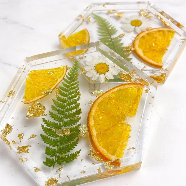 Citrus Resin Hexagon Coasters | Clear Coasters with dried fruit | Fruit Decor | Dried Flower Coasters