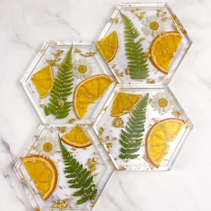 Citrus Resin Hexagon Coasters | Clear Coasters with dried fruit | Fruit Decor | Dried Flower Coasters