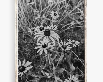 Black And White Wildflower Printable Wall Art, 8x10, 11x14 digital download