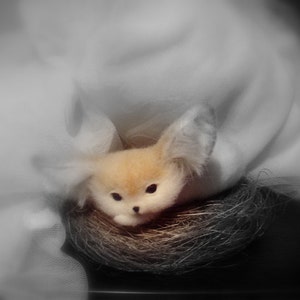 Needle Felted Animal Needle Felted Sleeping Fennec Fox Etsy