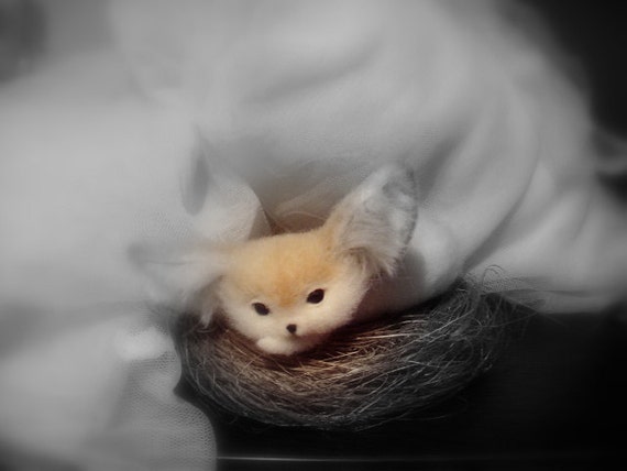 Realista Fennec Fox Pequeno Zorro Del Desierto Fennec Aguja De Etsy
