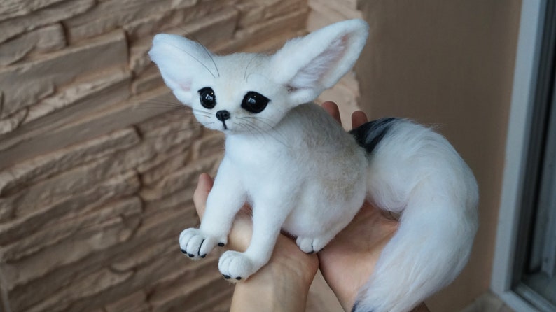 Fennec Fox Desert animals Cute fox Baby fox for sale Eared fox | Etsy