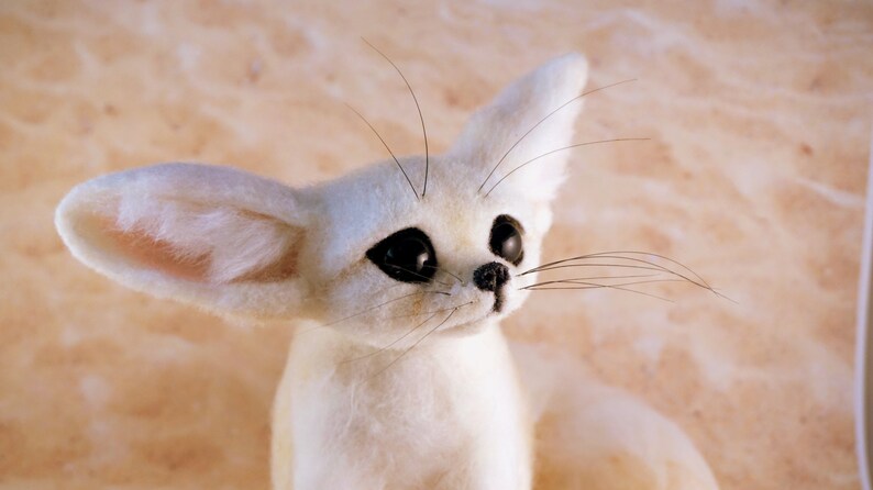 Fennec Fox Desert animals Cute fox Baby fox for sale Eared fox | Etsy