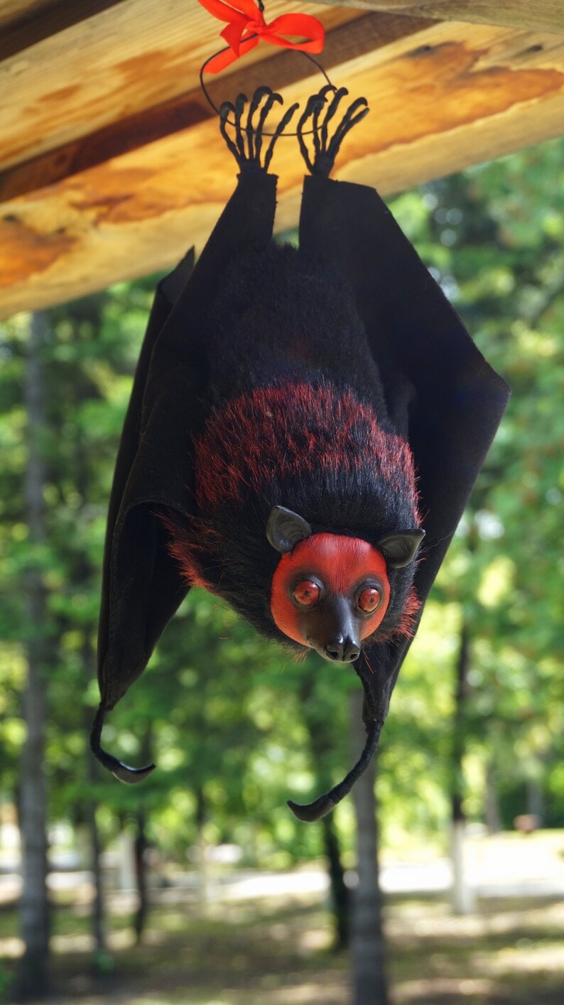 Large Hanging Bat. Cute Bat Art Doll. Realistic Animal Toys. Etsy UK