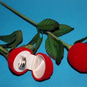 Velvety ROSE RED jewelry box with stem ring ring New Beauty and the Beast