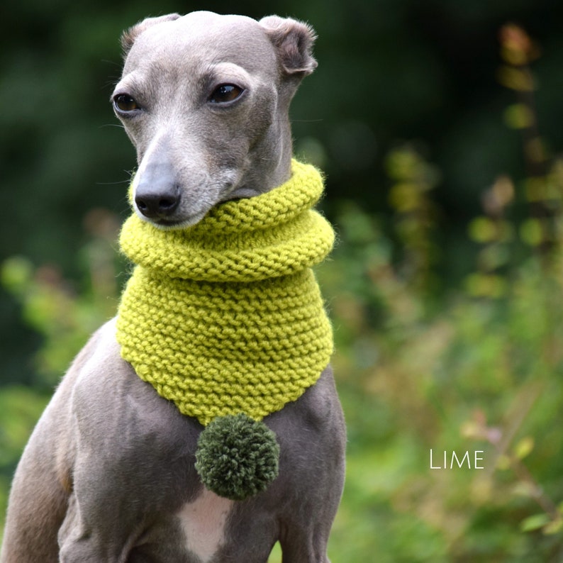 whippet snood dog neck scarf dog neck warmer dog neck snood greyhound snood Dog snood snoods for dogs