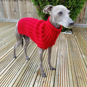 Pull en laine lévrier italien - Moutarde, rouge, laine douce, pull iggy, pull en laine pour petit chien