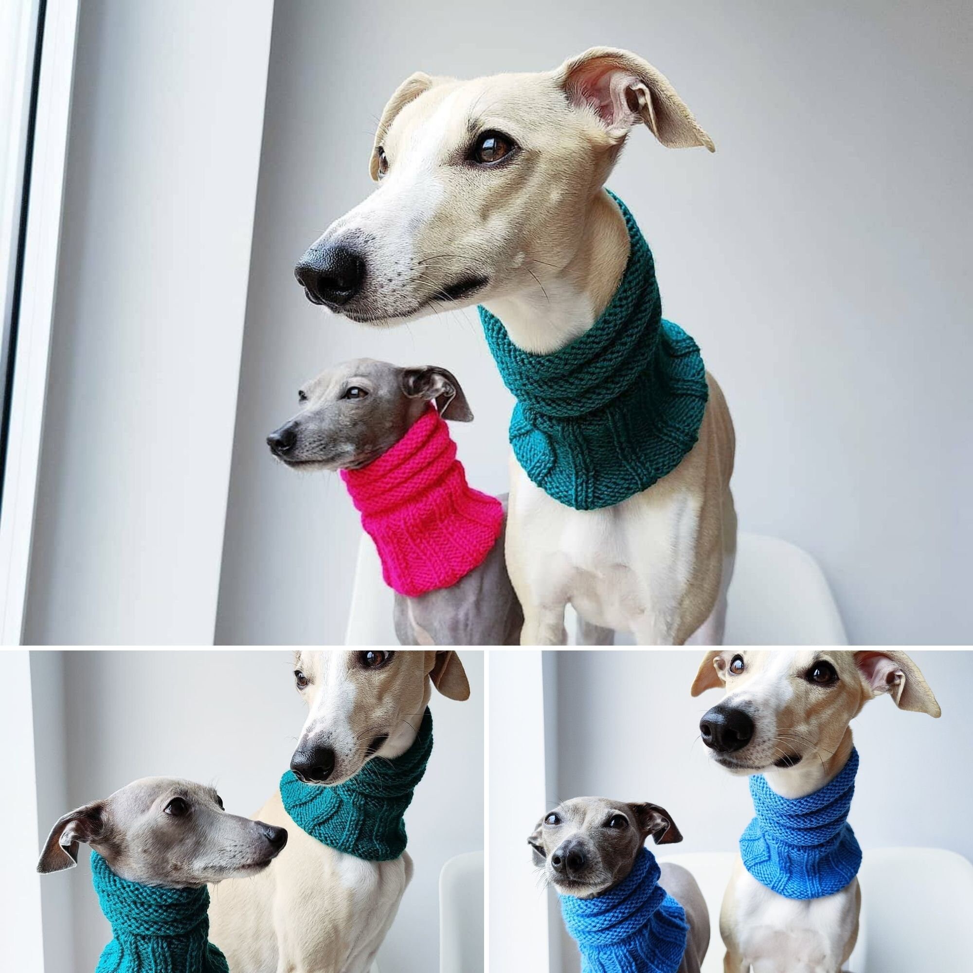 Woollen Dog Snood Various Colours Dog Neck Warmer Whippet Etsy UK