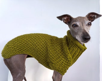 Italian Greyhound Sweater - Moss| Italian greyhound clothes |Italian Greyhound Clothing for Iggy | wool