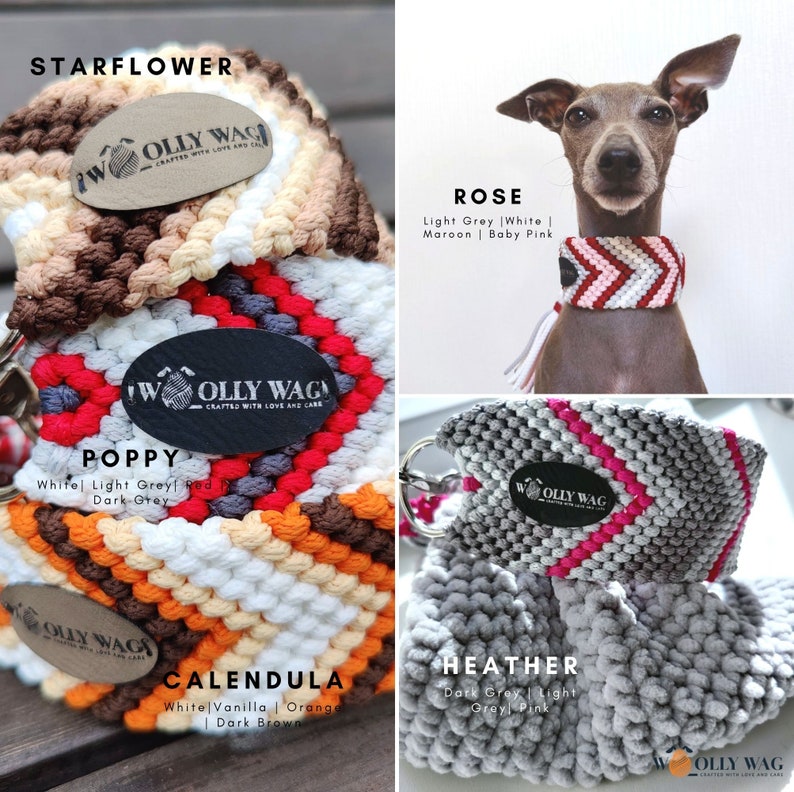 Dog Collar With Removable Tassel Handbraided Various Colours Etsy UK