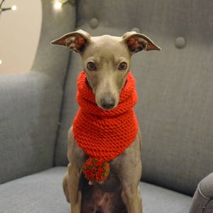 Woollen Dog Bandana Red with White Pom-Pom & Red with Multicolour Pom-Pom, dog snood,, whippet snood dog neck warmer image 3