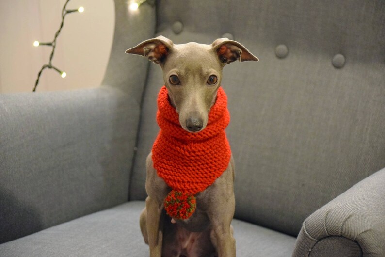 Woollen Dog Bandana Red with White Pom-Pom & Red with Multicolour Pom-Pom, dog snood,, whippet snood dog neck warmer image 3