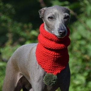 Woollen Dog Bandana Red with White Pom-Pom & Red with Multicolour Pom-Pom, dog snood,, whippet snood dog neck warmer image 2