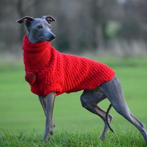 Woollen Dog Bandana Red with White Pom-Pom & Red with Multicolour Pom-Pom, dog snood,, whippet snood dog neck warmer image 5