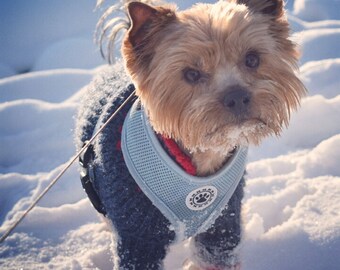 VENTE!! Pull pour chien - Bleu foncé avec garniture rouge, pull pour chien, manteau d’hiver pour chien