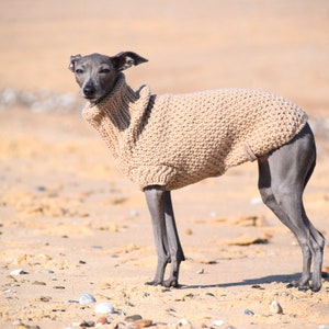 Italian Greyhound Sweater Sand Wool Italian greyhound clothes image 1