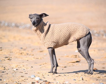 Italian Greyhound Sweater- Sand| Wool |  Italian greyhound clothes