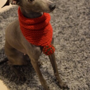 Woollen Dog Bandana Red with White Pom-Pom & Red with Multicolour Pom-Pom, dog snood,, whippet snood dog neck warmer image 6