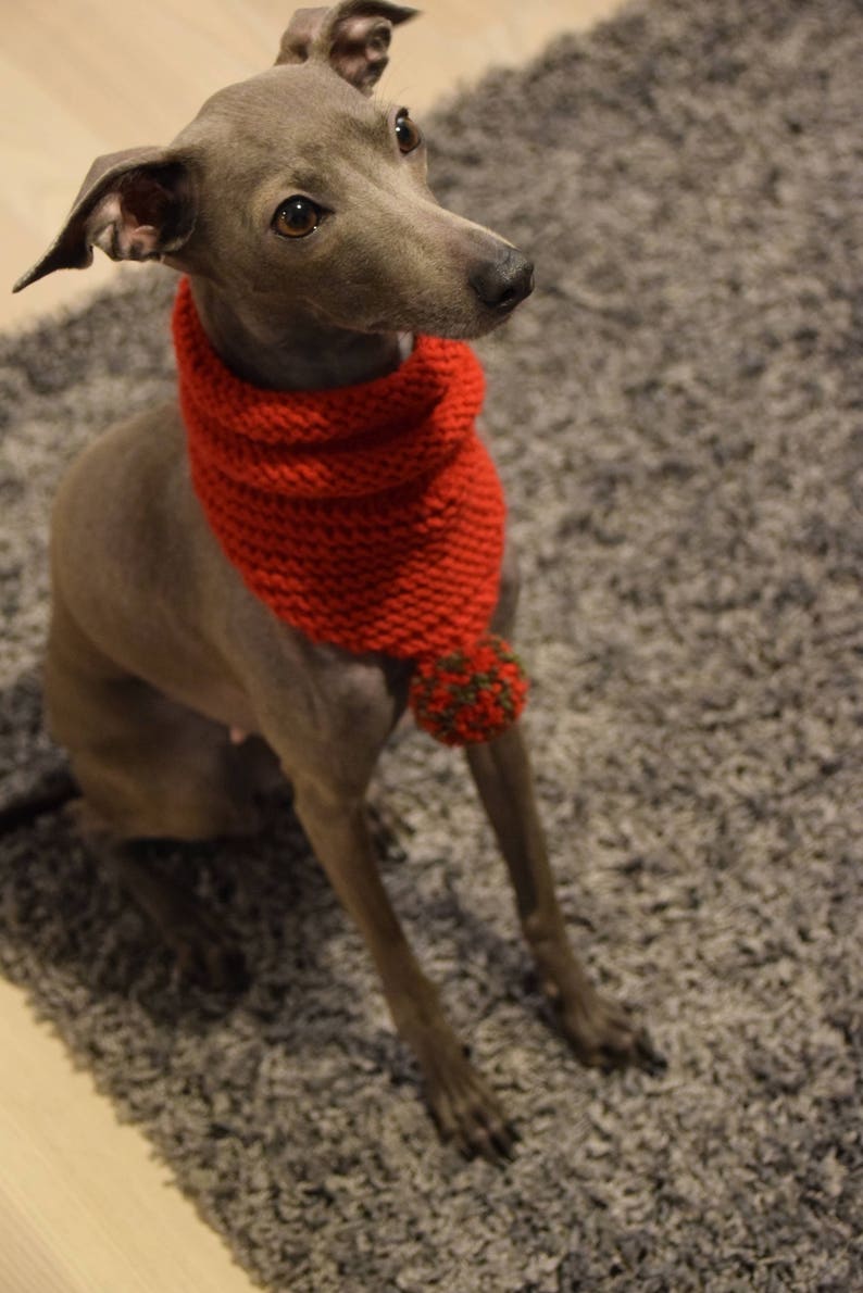 Woollen Dog Bandana Red with White Pom-Pom & Red with Multicolour Pom-Pom, dog snood,, whippet snood dog neck warmer image 6
