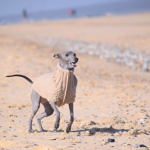 Italian Greyhound Sweater Sand Wool Italian greyhound clothes image 6