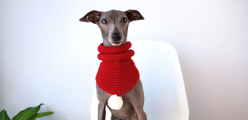 Woollen Dog Bandana Red with White Pom-Pom & Red with Multicolour Pom-Pom, dog snood,, whippet snood dog neck warmer image 1