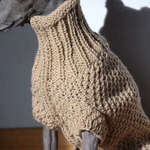 Italian Greyhound Sweater Sand Wool Italian greyhound clothes image 7