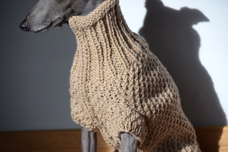 Italian Greyhound Sweater Sand Wool Italian greyhound clothes image 7