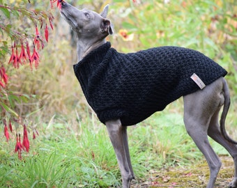 Italian Greyhound Wool Sweater- Black, Italian Greyhound Clothing, iggy jumper