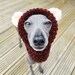 see more listings in the Dog Snoods section