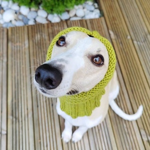 Woollen Dog Snood Various Colours, Dog head warmer, whippet, Italian Greyhound, greyhound, saluki, lurcher, sighthound, neck warmer image 8