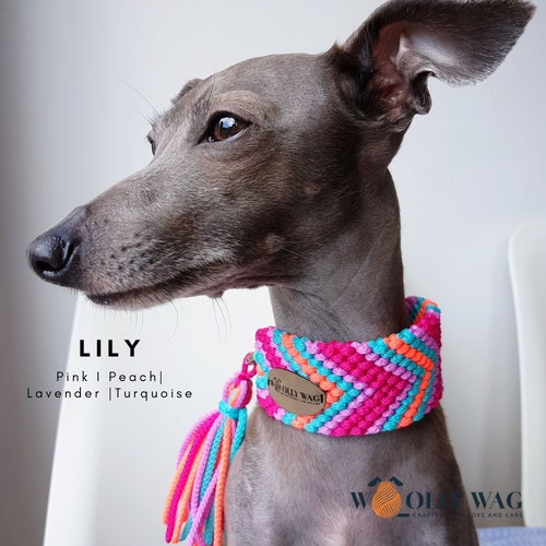 Dog Collar With Removable Tassel Handbraided Various Colours Etsy UK