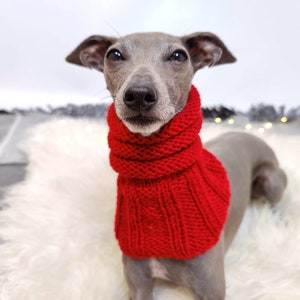 Woollen Dog Snood Various Colours, Dog head warmer, whippet, Italian Greyhound, greyhound, saluki, lurcher, sighthound, neck warmer image 9