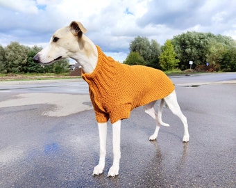 Whippet Wool Sweater - Mustard, whippet dog clothes, jumper, whippet pullower, handknitted