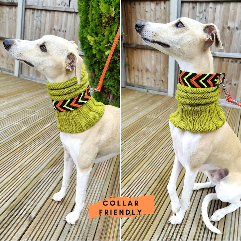 Woollen Dog Snood Various Colours, Dog head warmer, whippet, Italian Greyhound, greyhound, saluki, lurcher, sighthound, neck warmer image 2