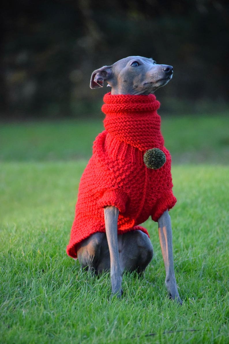 Woollen Dog Bandana Red with White Pom-Pom & Red with Multicolour Pom-Pom, dog snood,, whippet snood dog neck warmer image 4