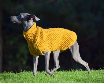 Italian Greyhound Dog Sweater - Mustard, Wool, Italian greyhound clothes, jumper