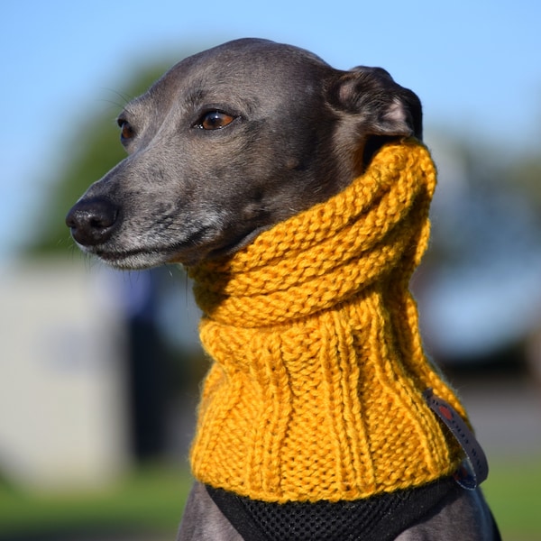 Snood en laine pour chien - Différentes couleurs, chauffe-tête pour chien, whippet, lévrier italien, lévrier, saluki, lurcher, lévrier, cache-cou