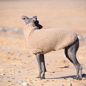 Italian Greyhound Sweater Sand Wool Italian greyhound clothes image 2