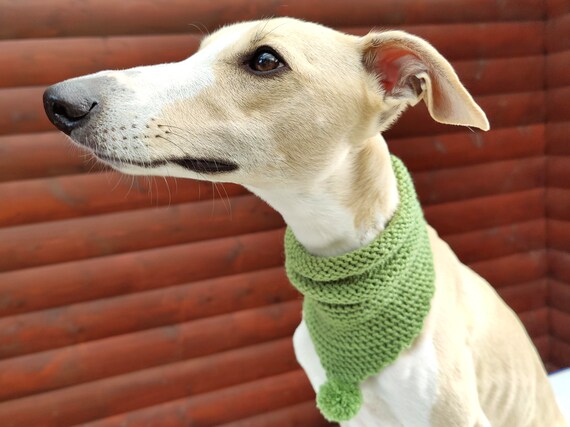 can any dish soap kill fleas