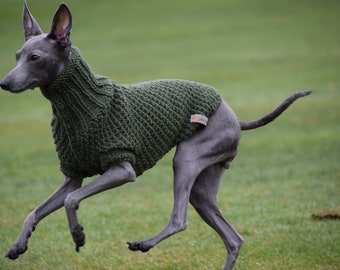 Italian Greyhound Sweater - Dark Olive Green | Italian greyhound clothes |Italian Greyhound Clothing for Iggy