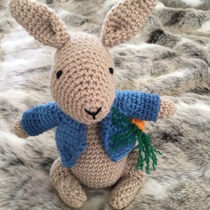 Peter Rabbit handmade crochet toy