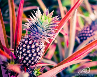 Purple Pineapple Photo Wrap