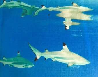 Shark Reflections Photo Wrap