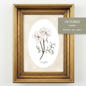 May include: A framed botanical print featuring a white cosmos flower illustration centered within an oval border. The text OCTOBER cosmos is printed below the flower. A rectangular overlay displays OCTOBER cosmos harmony ~ love ~ peace.