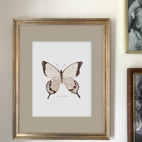 African Swallowtail Butterfly Art Print | Scientific Illustration | Neutral Print | Watercolor | 8x10 | Home Decor | CLOSEOUT