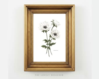 Anemone Art Print: Watercolor Botanical Wall Art, Floral Illustration, 5x7 Home Decor