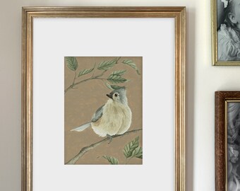 Tufted Titmouse Art Print | Nature Inspired | Bird Illustration | Watercolor | Multiple Sizes Available | Home Decor