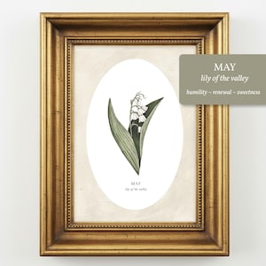May include: A framed botanical print featuring a lily of the valley illustration inside an oval border. The text reads MAY lily of the valley. The frame is gold with a textured finish. A separate tag displays MAY, lily of the valley, humility, renewal, sweetness.