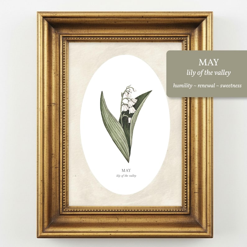 May include: A framed botanical print featuring a lily of the valley illustration inside an oval border. The text reads MAY lily of the valley. The frame is gold with a textured finish. A separate tag displays MAY, lily of the valley, humility, renewal, sweetness.